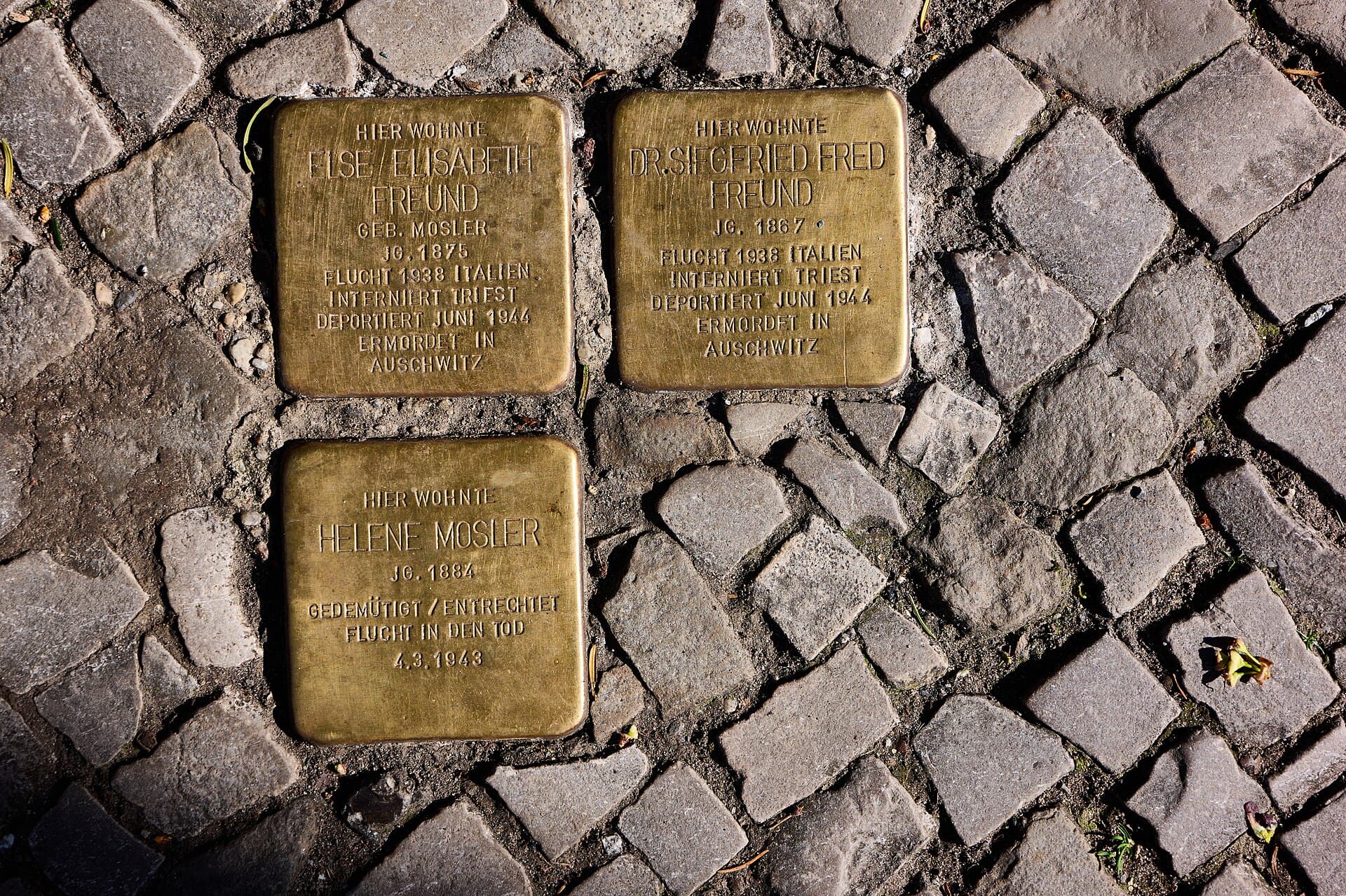 Stolpersteine: Names Underfoot