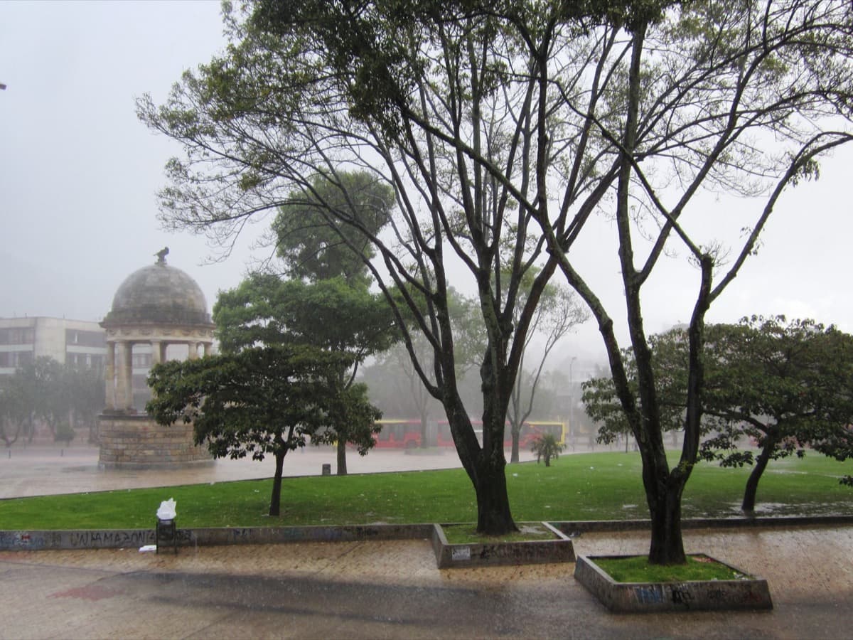 Parque de los Periodistas: The Park That Started a Law