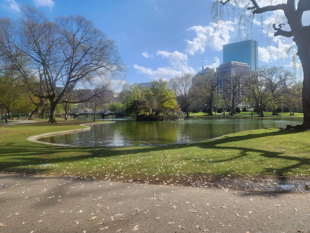 Public Garden: The Park That Looks Like It Should Be Olmsted's