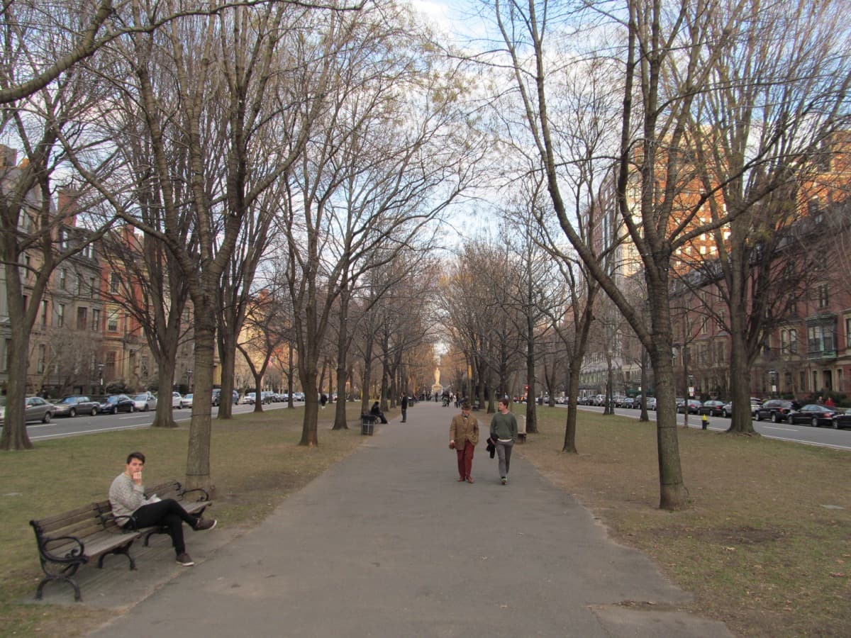 Commonwealth Avenue Mall: The French Boulevard That Is Not His Either