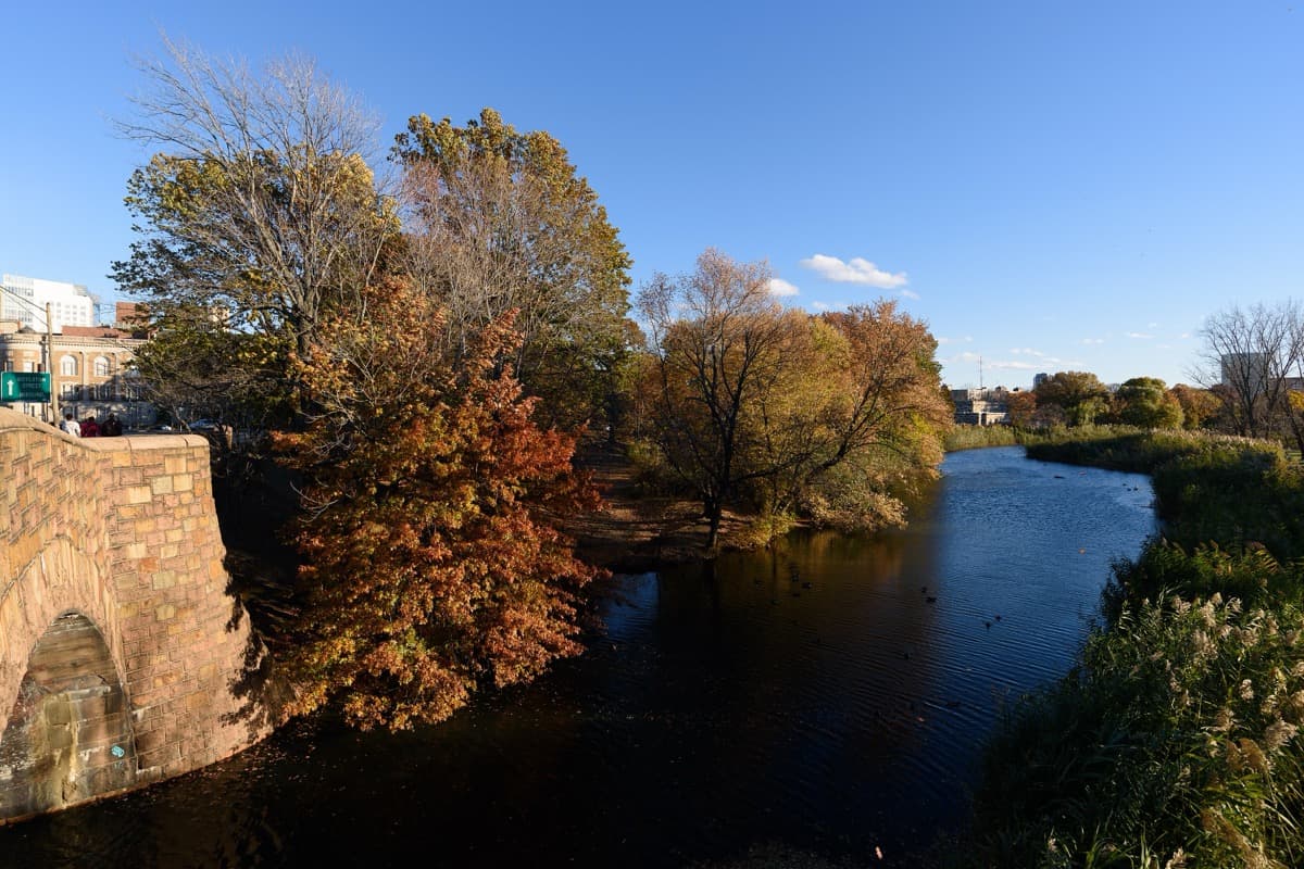 Back Bay Fens: The Sewage Problem Solved as Landscape