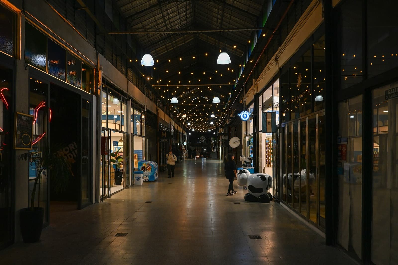 Mercado de San Telmo: The Immigrant Everyday Under Iron and Glass