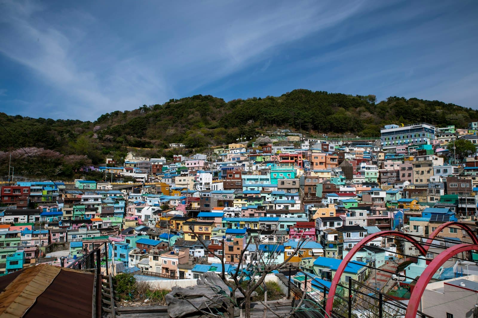 The Painted Hillside