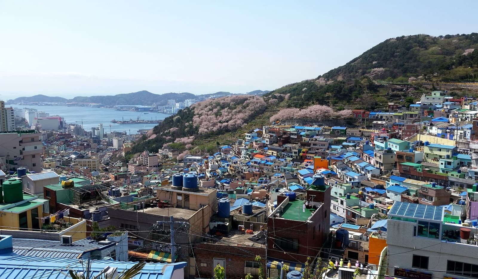 Down to the Sea: Gamcheon Harbour