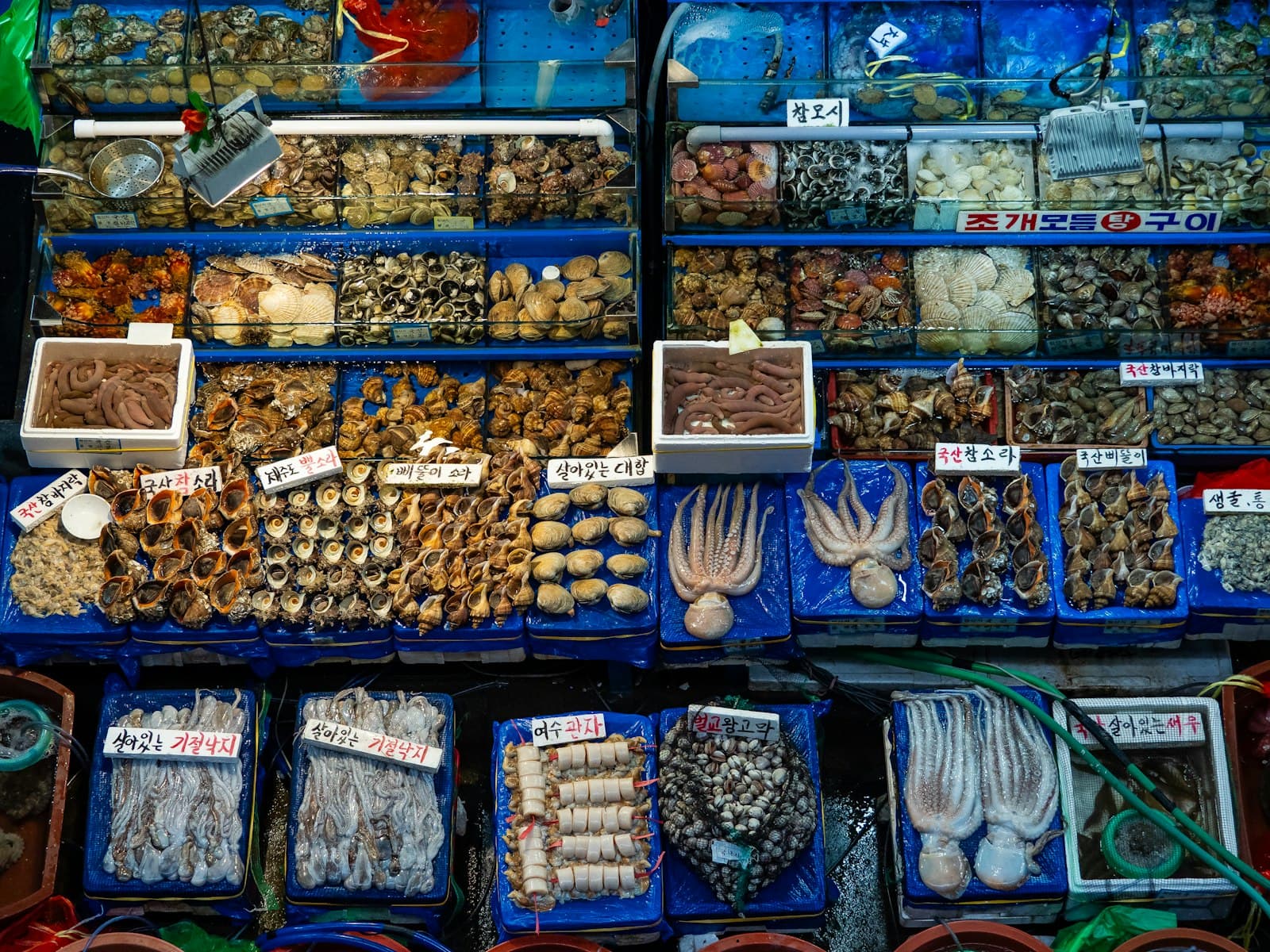 The Port City's Table