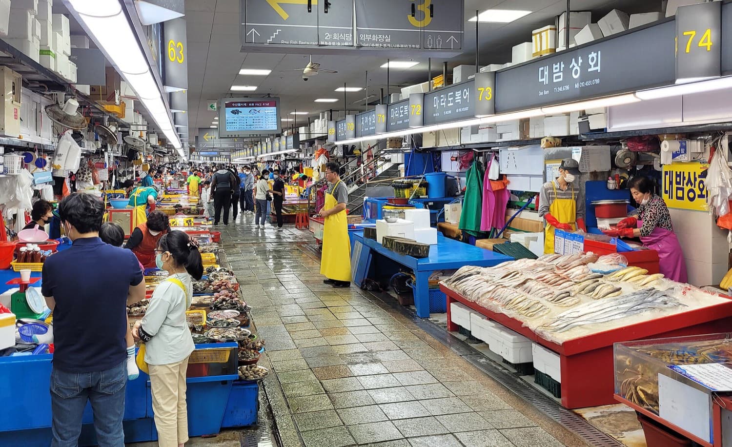 Busan's War-Made City: How a Port Refuge Became a Painted Coast
