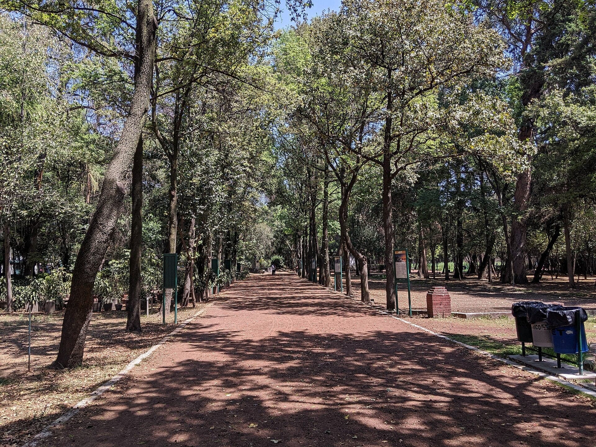 Viveros de Coyoacán: One Park for the Trees and the Village