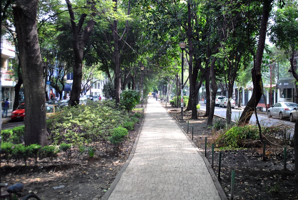 Avenida Amsterdam: The Ghost Horse Track