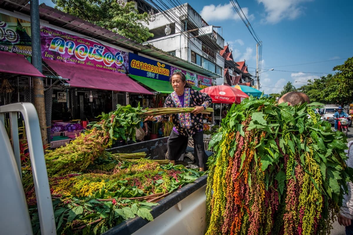 Ton Lamyai Market and the Chinatown Shrines