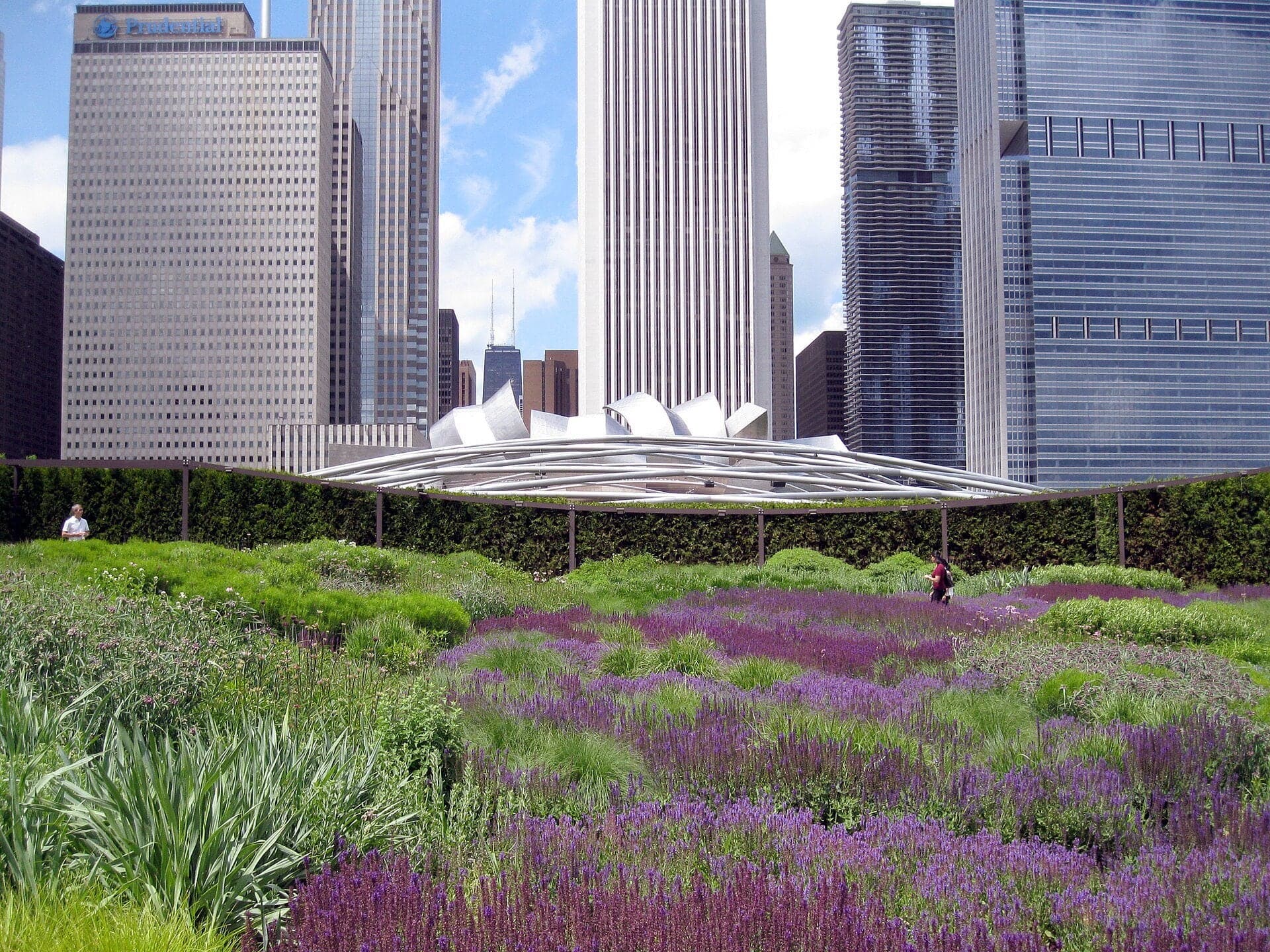 Lurie Garden: A Hedge Held Up by Steel
