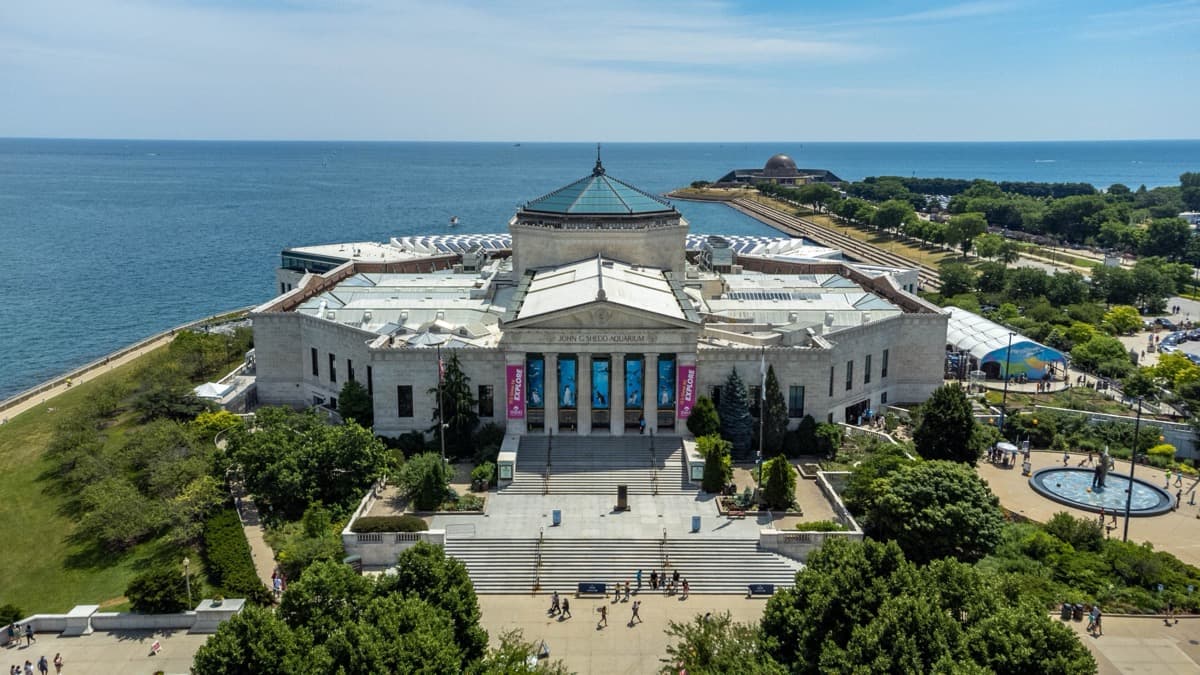 Shedd Aquarium: The Cluster Completes Itself