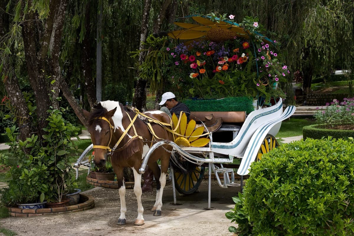 Da Lat Flower Gardens: what the garden became