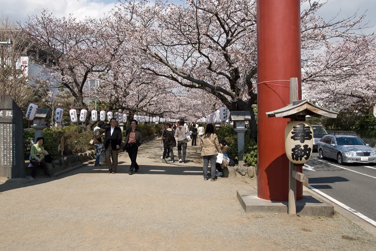 The Dankazura: The Raised Path
