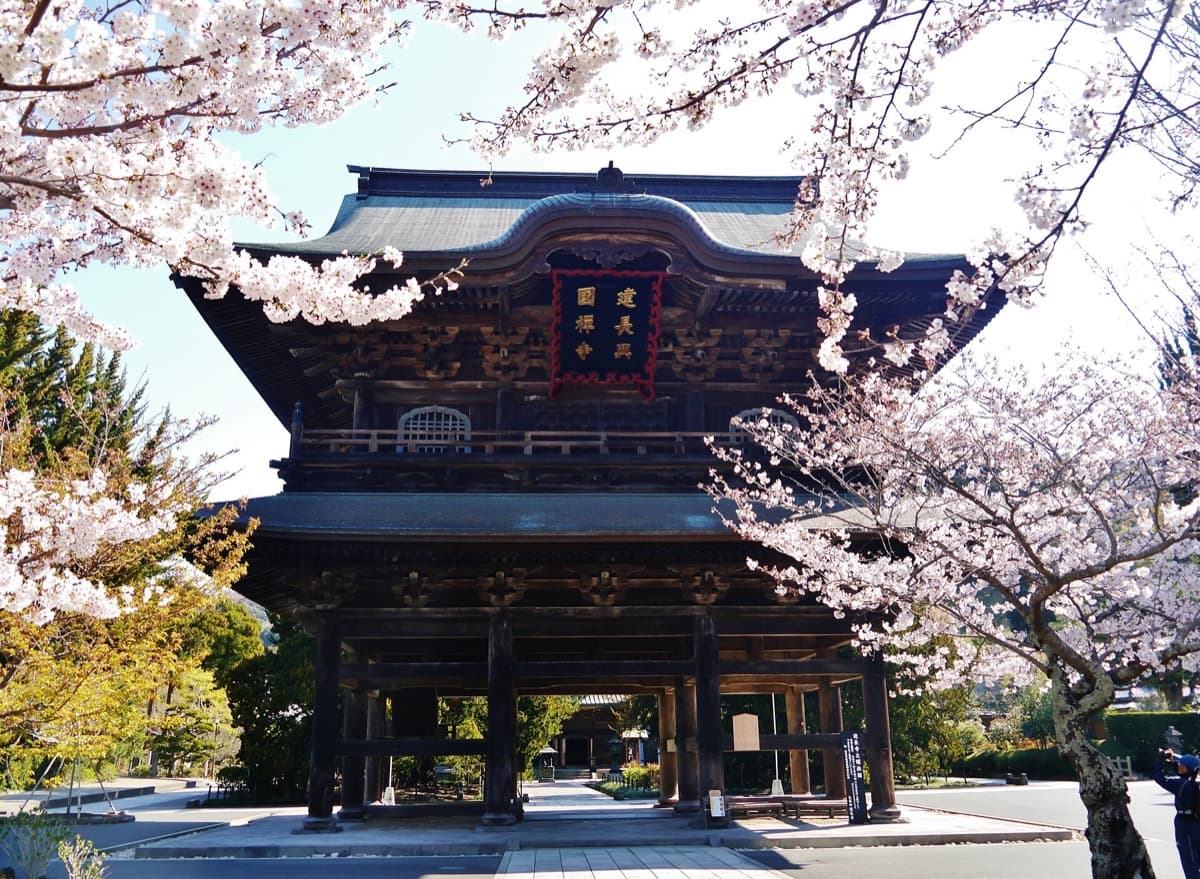 The Meditation Hall and Sanmon Gate