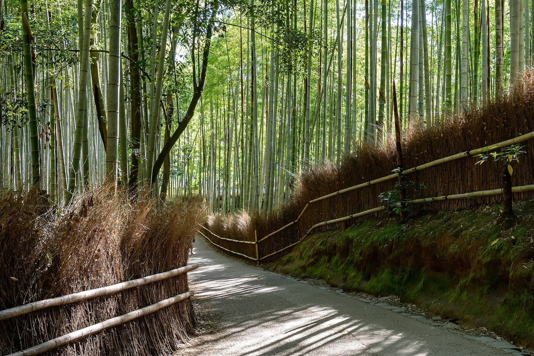 Top of the Bamboo Grove: An Actor's Garden