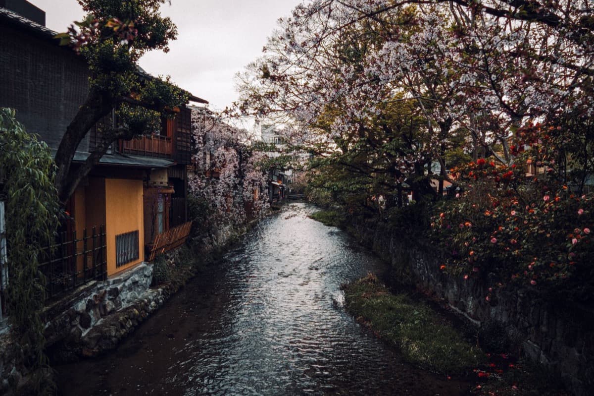 Gion Shirakawa and Tatsumi Bridge: The Photographed Lane