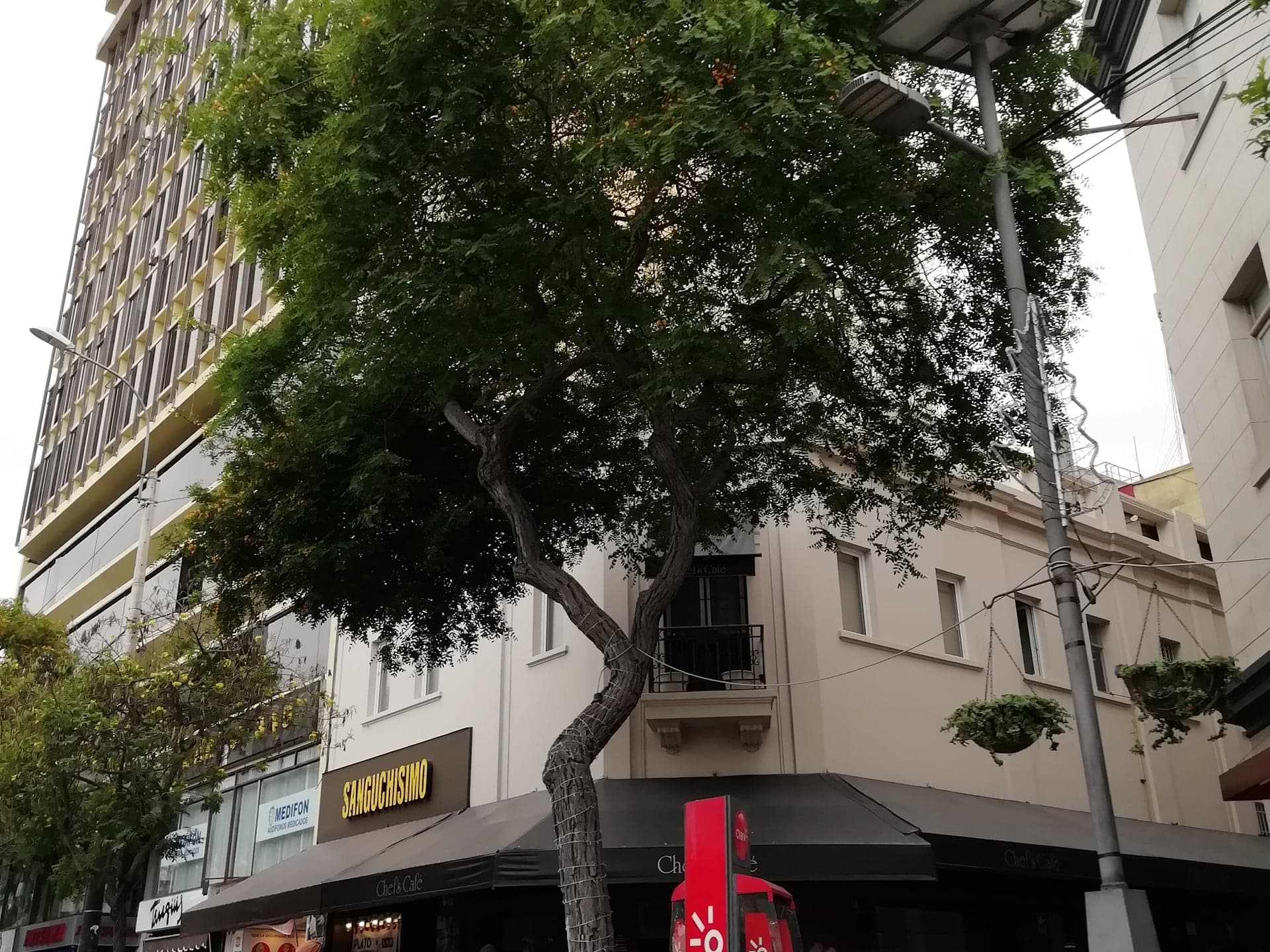 Avenida Larco: From Village Street to Avenue