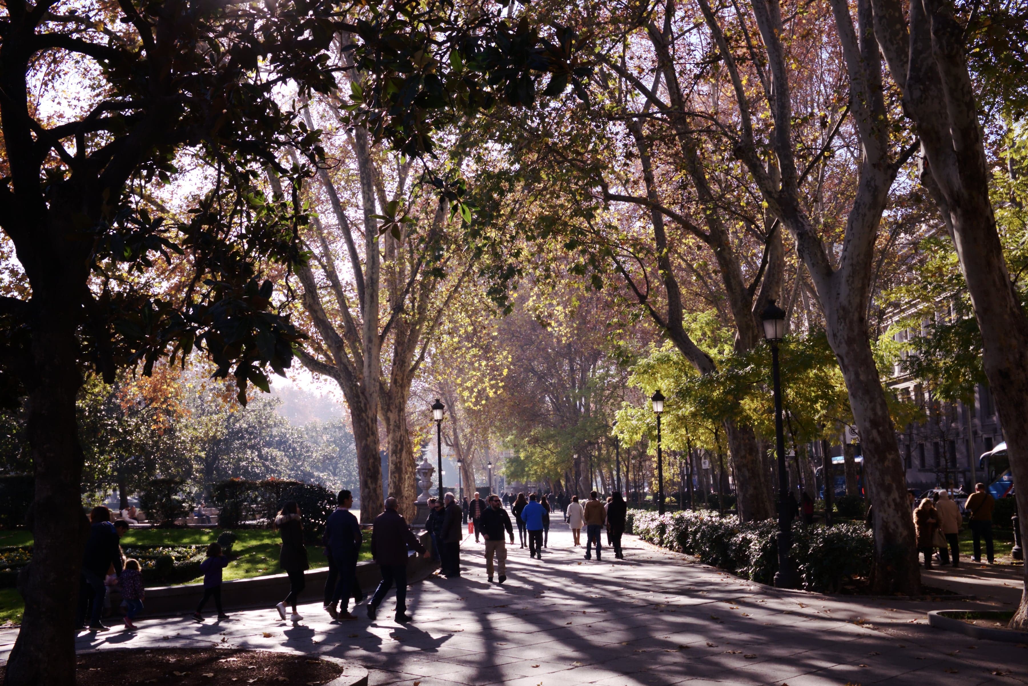 Paseo del Prado: The Avenue Built to Teach