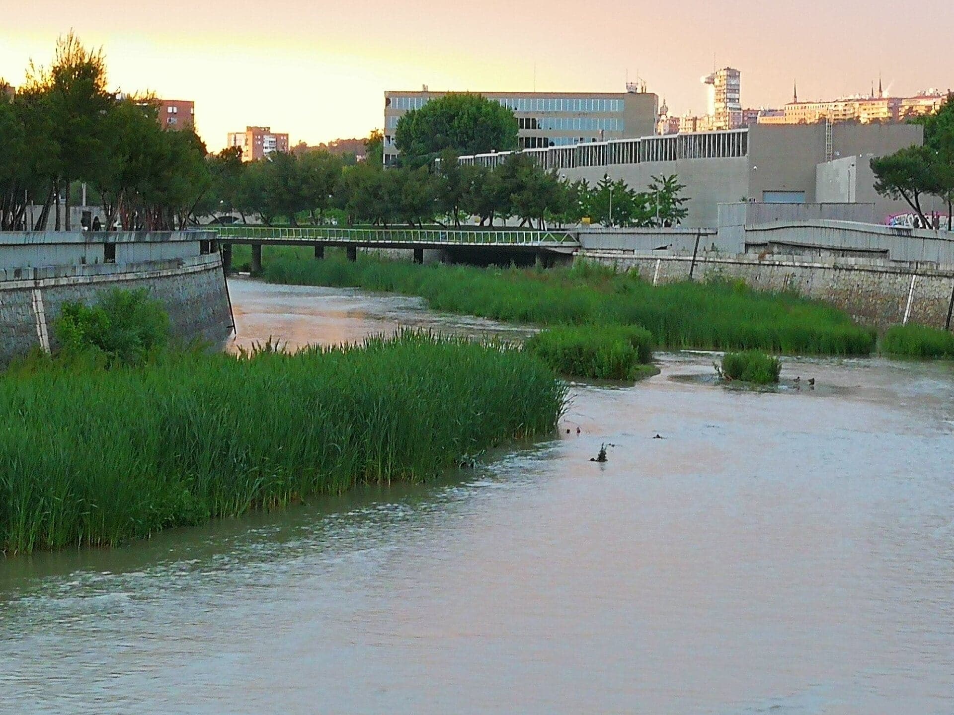 Fisac's Water Laboratory