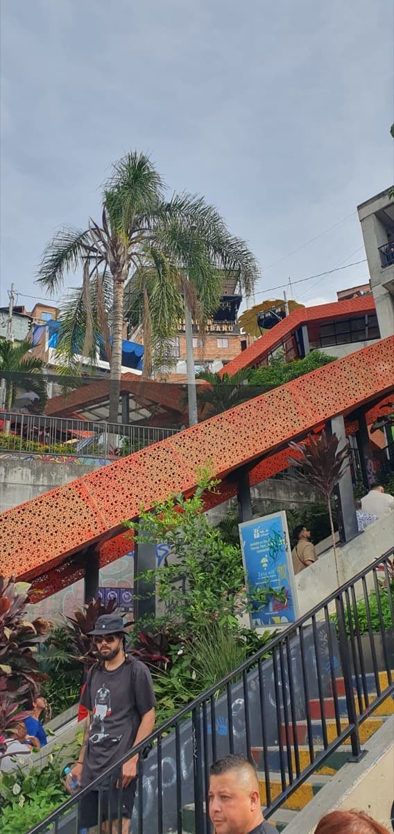Mid-Escalator Viewpoint
