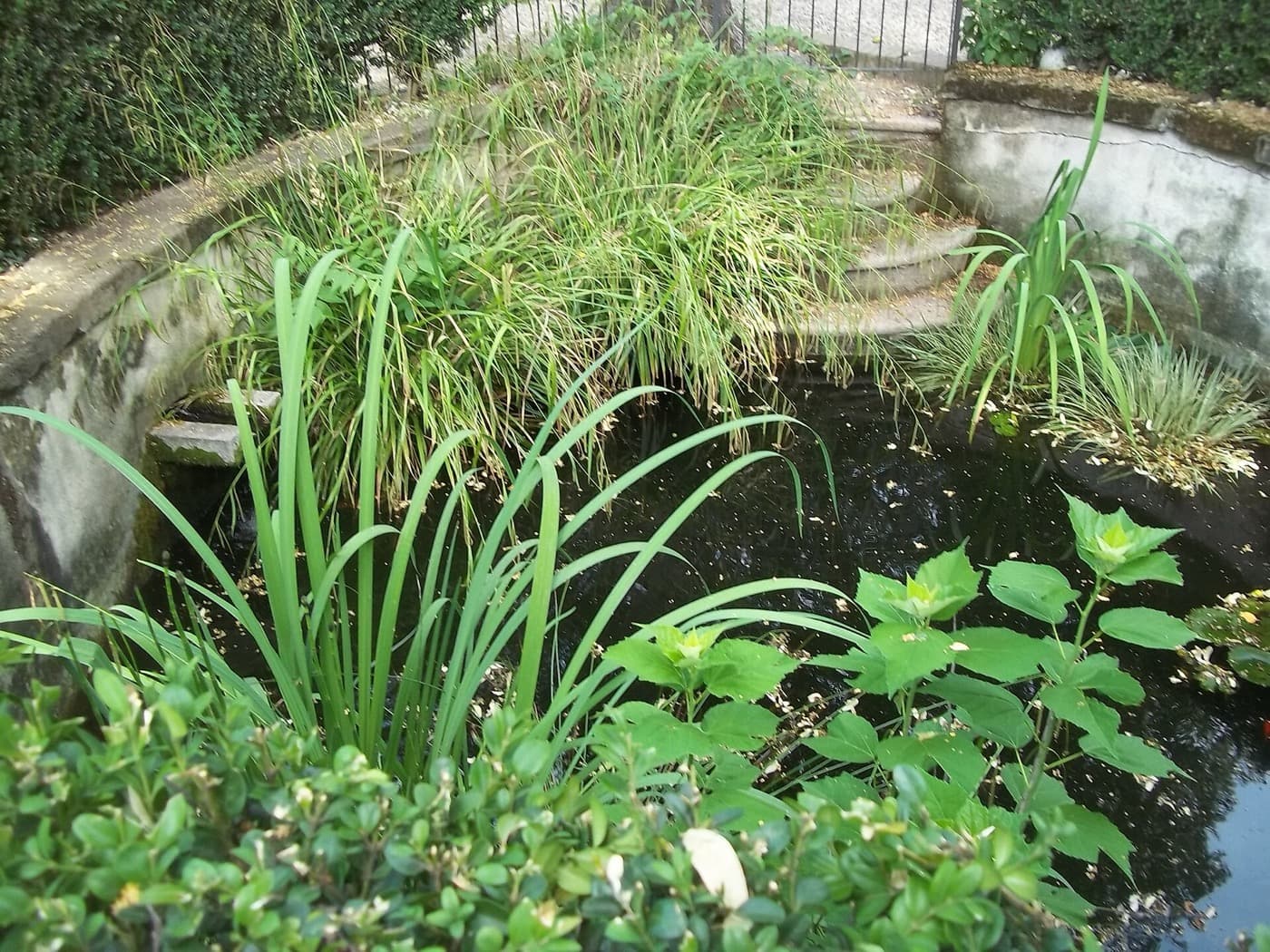 Orto Botanico di Brera: The Garden Behind the Wall