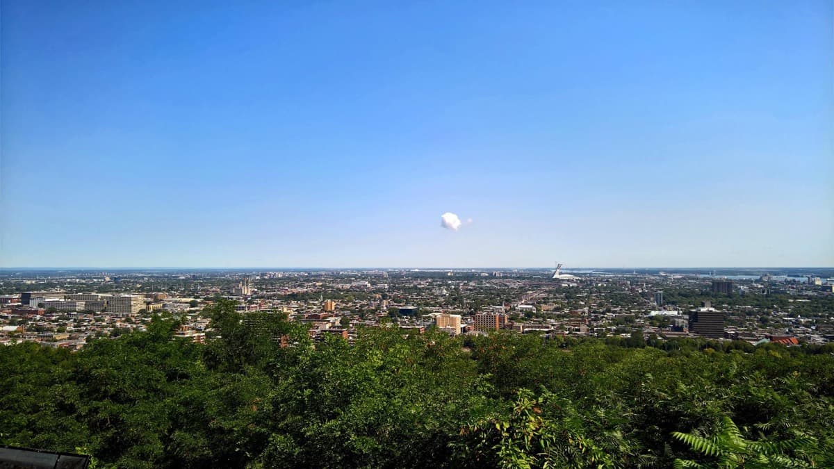 Belvedere Camillien-Houde: The Resolution