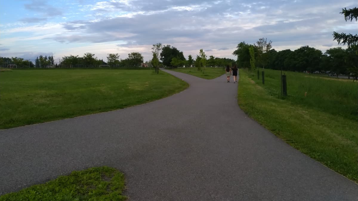 Parc Maisonneuve: The Closing Thesis