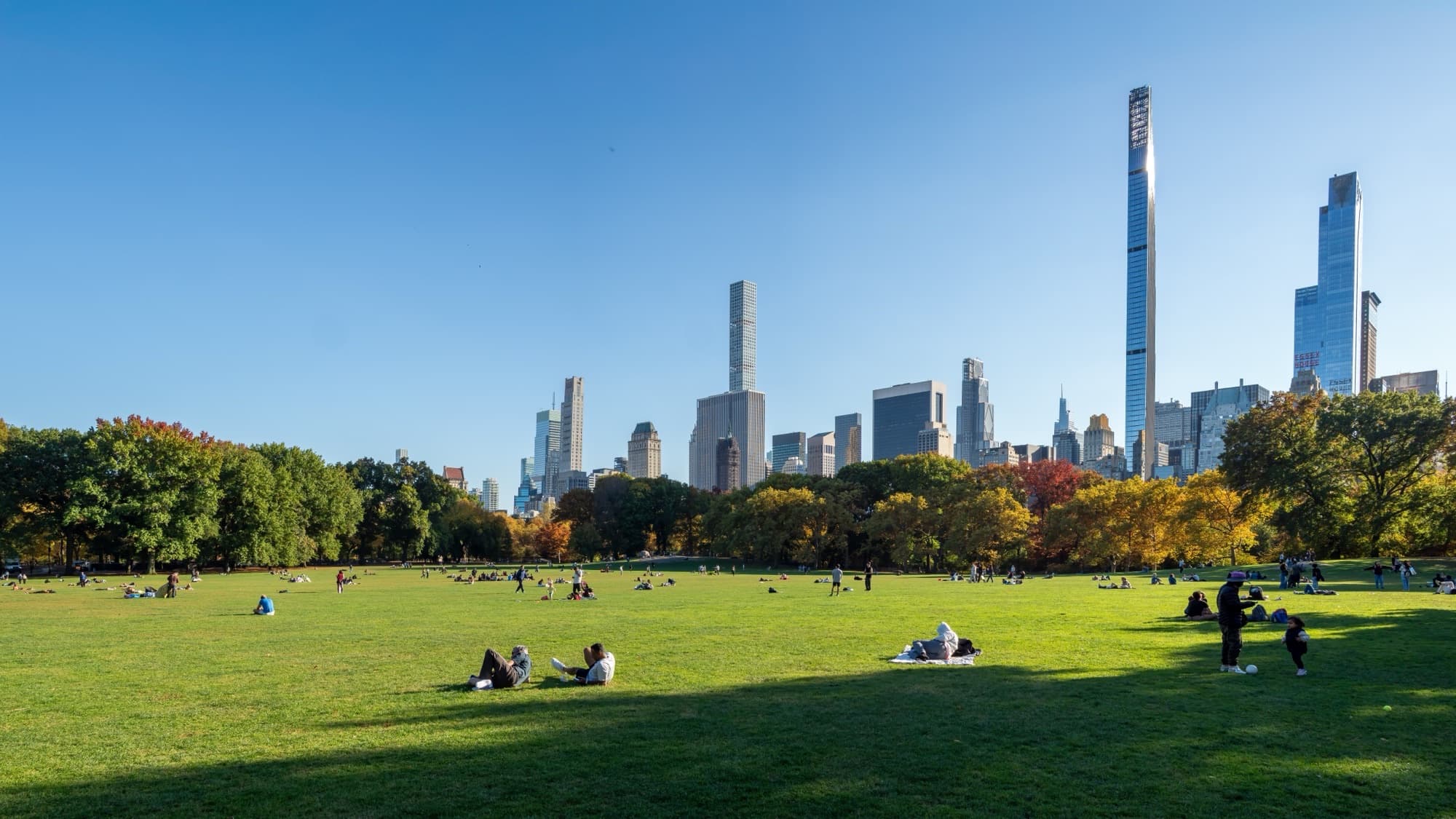 Sheep Meadow: The Engineering You Cannot See