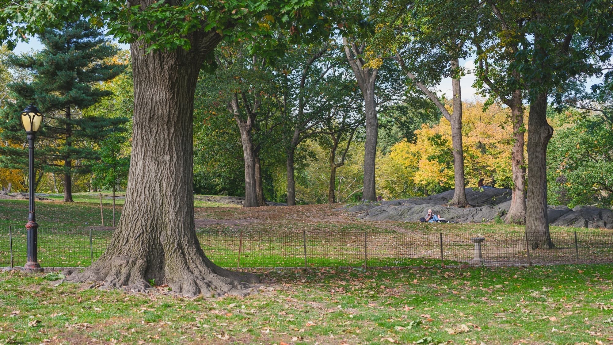 Seneca Village: The View That Is Not There