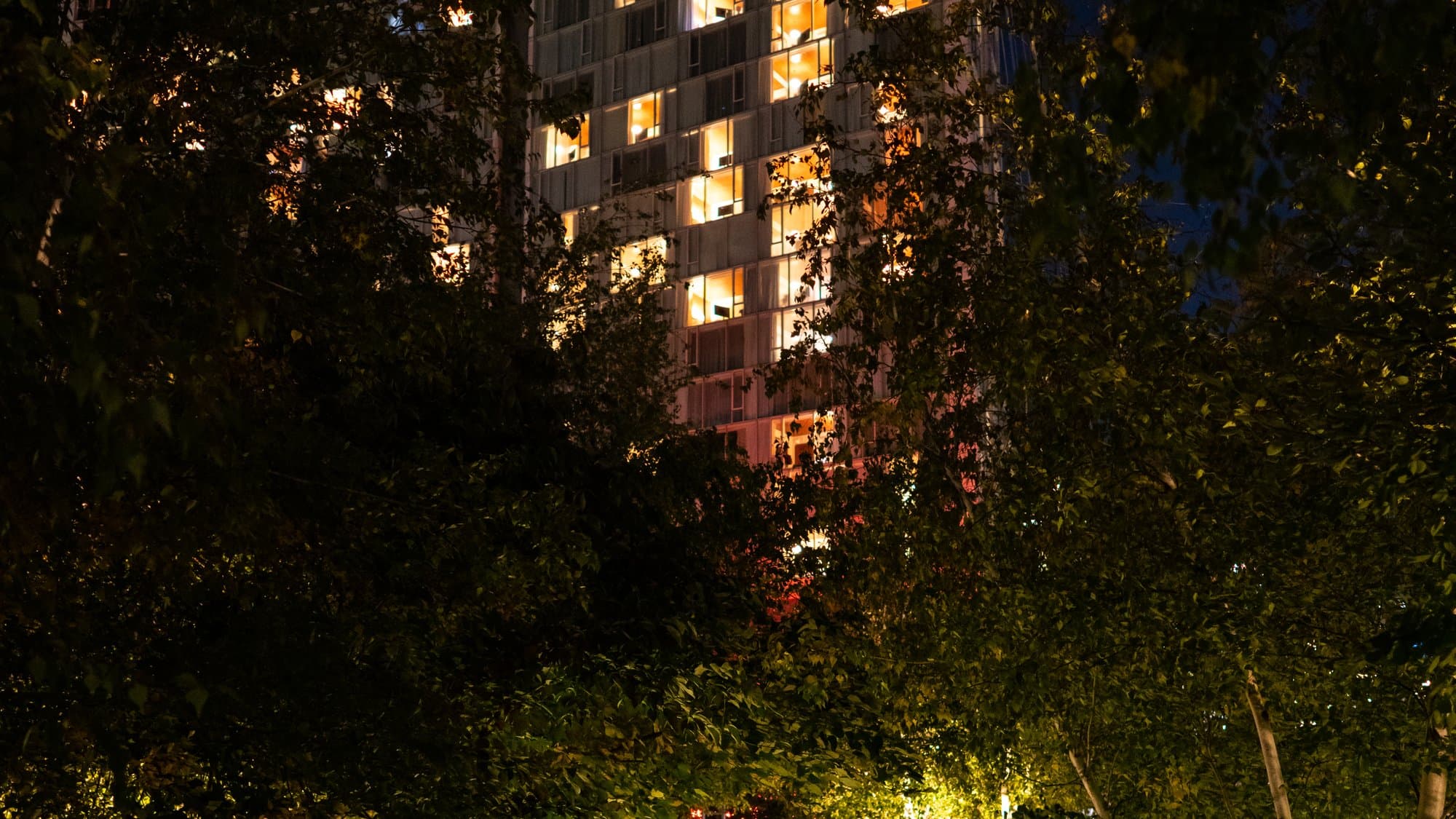 Standard Hotel and 14th Street Platform: The Curated Wild