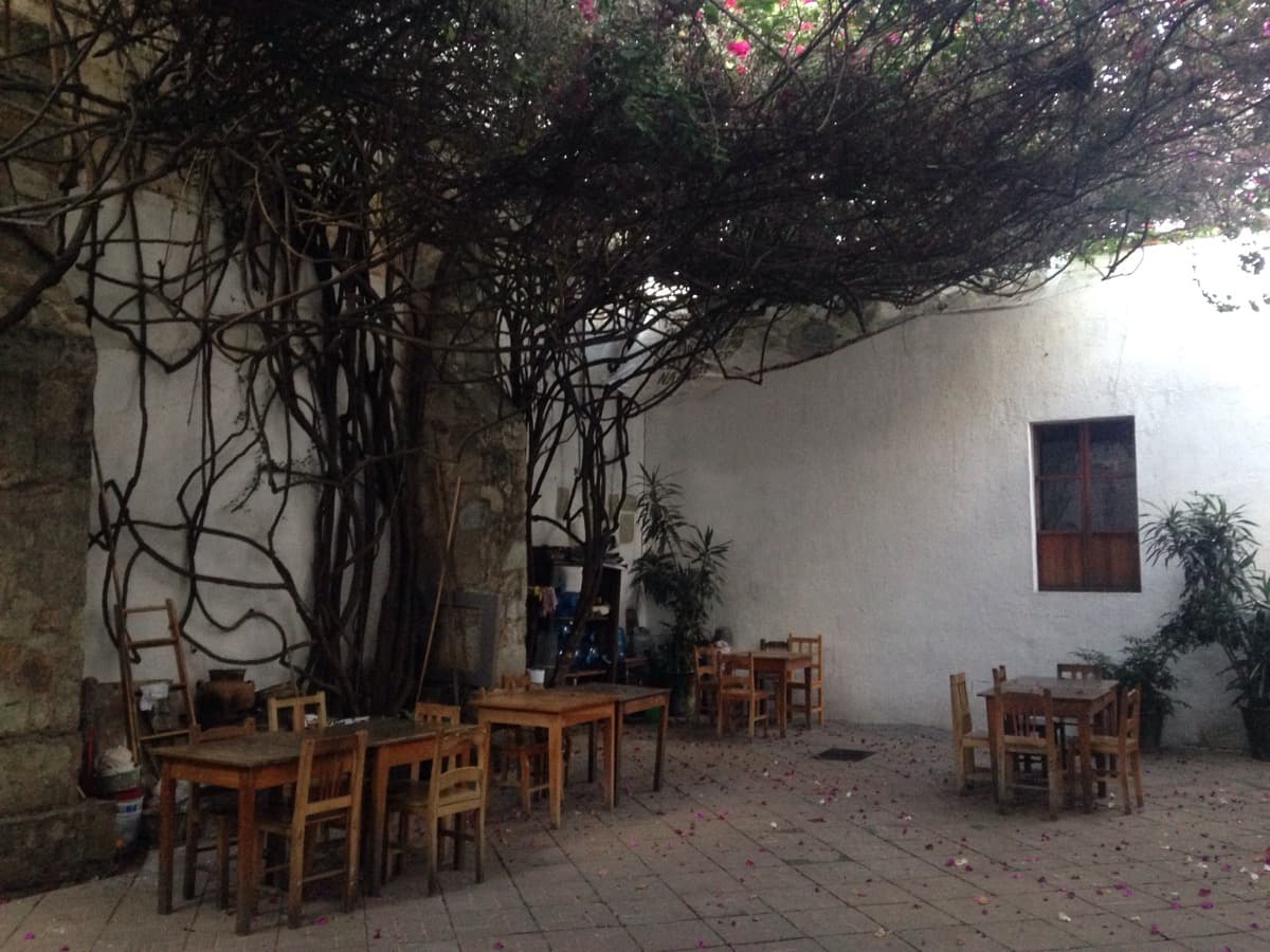 IAGO — Instituto de Artes Graficas de Oaxaca