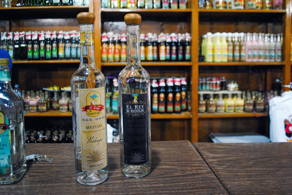 Mezcal Tasting Experience