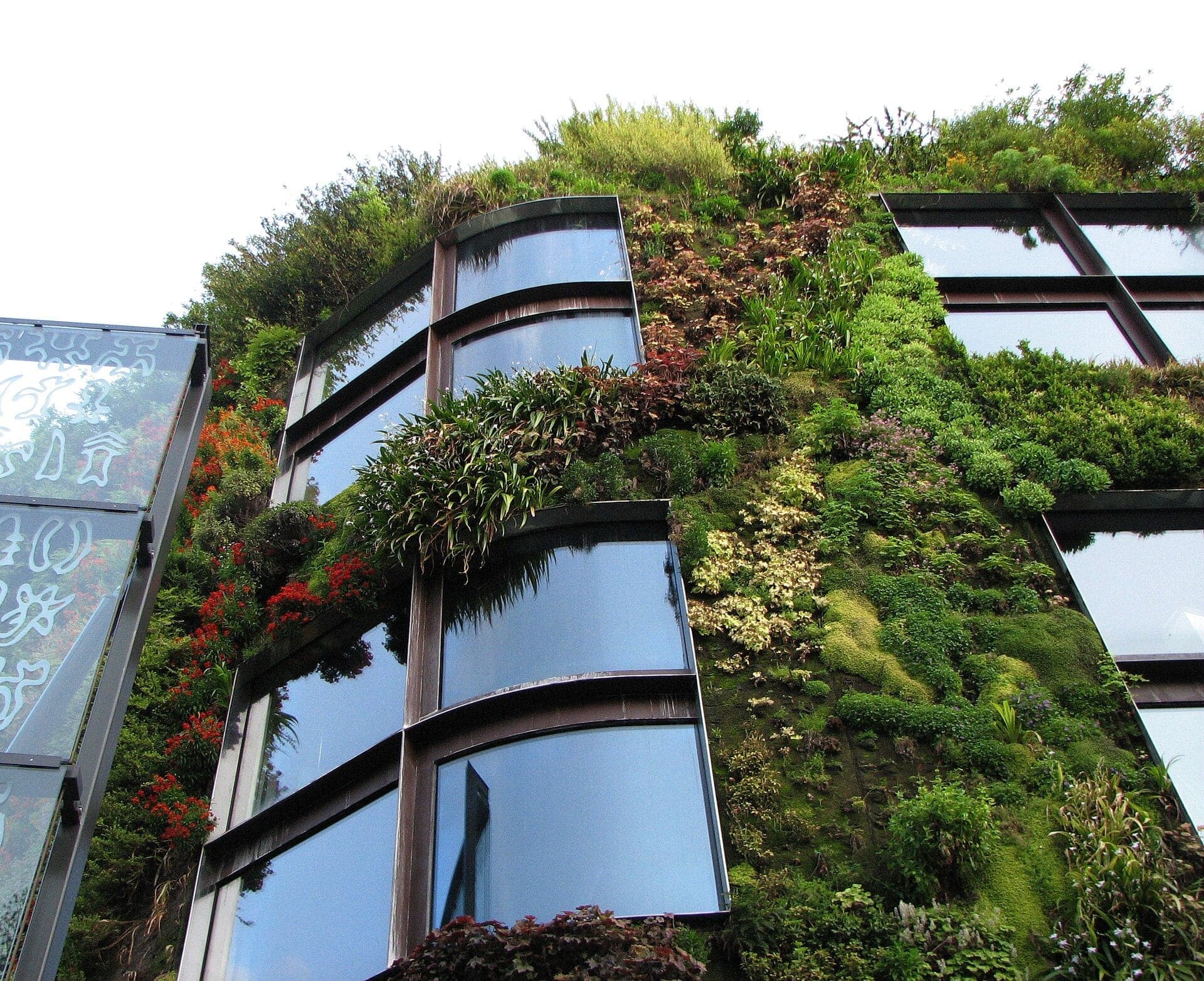 Musée du quai Branly: A Garden on the Wall