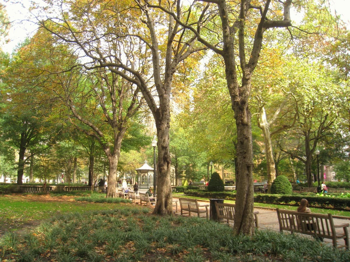 Rittenhouse Square: The Square That Held