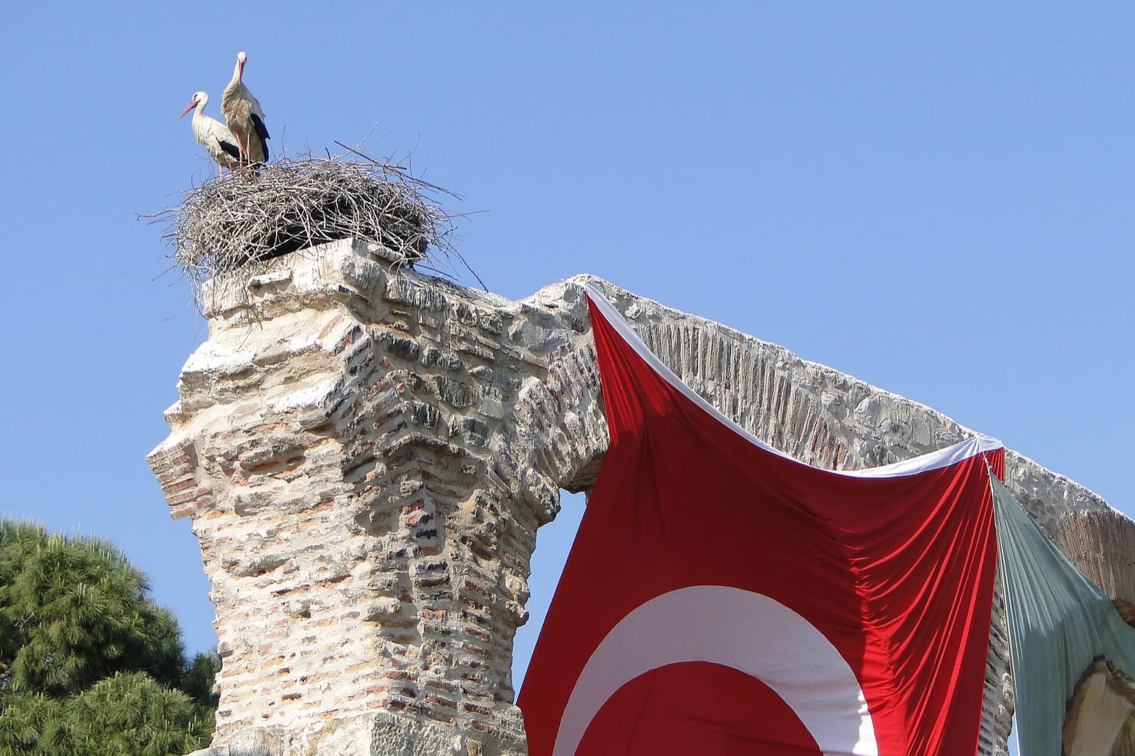 What to Eat in Selcuk (Ephesus)