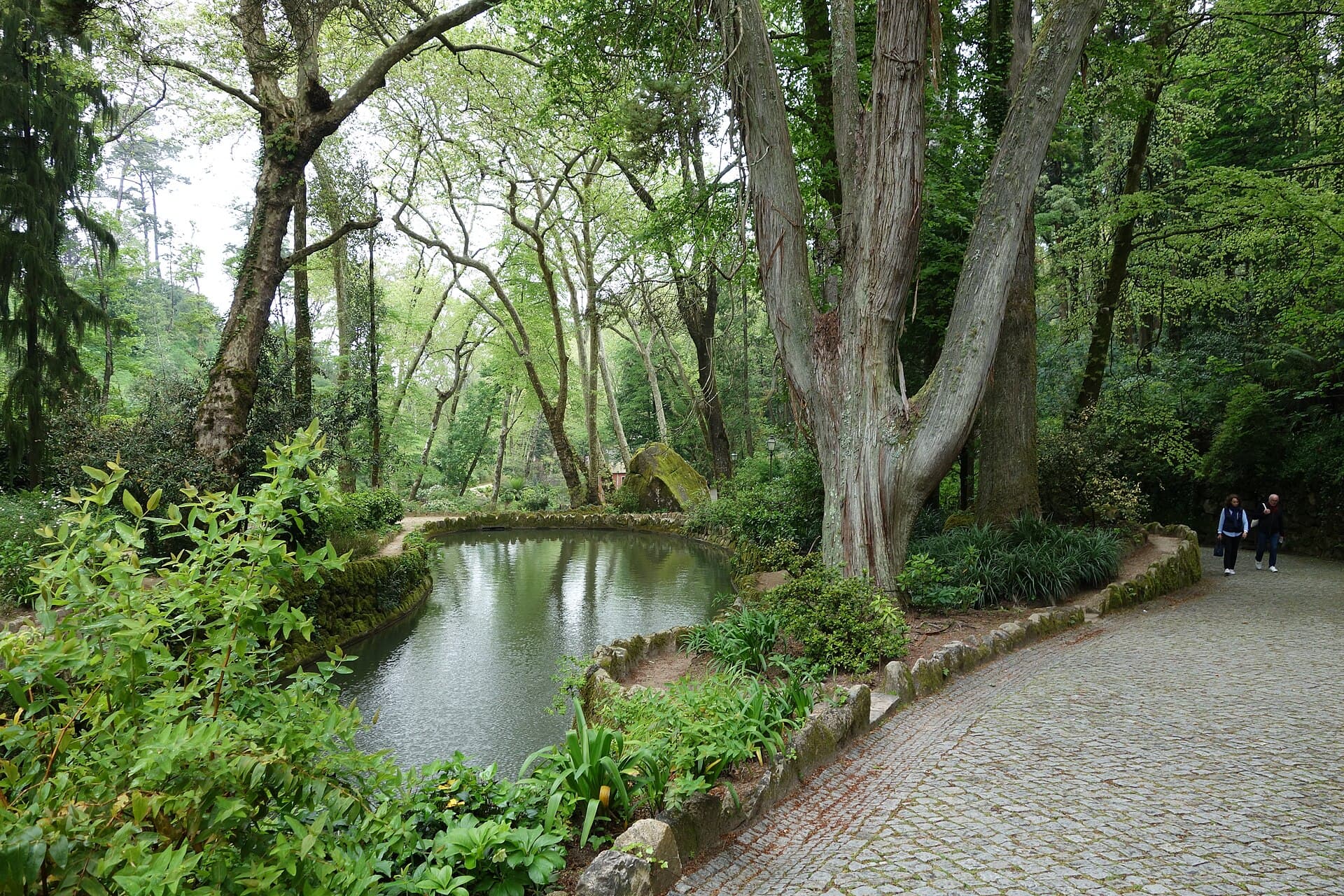 Parque da Pena: The Wilderness That Was Planted