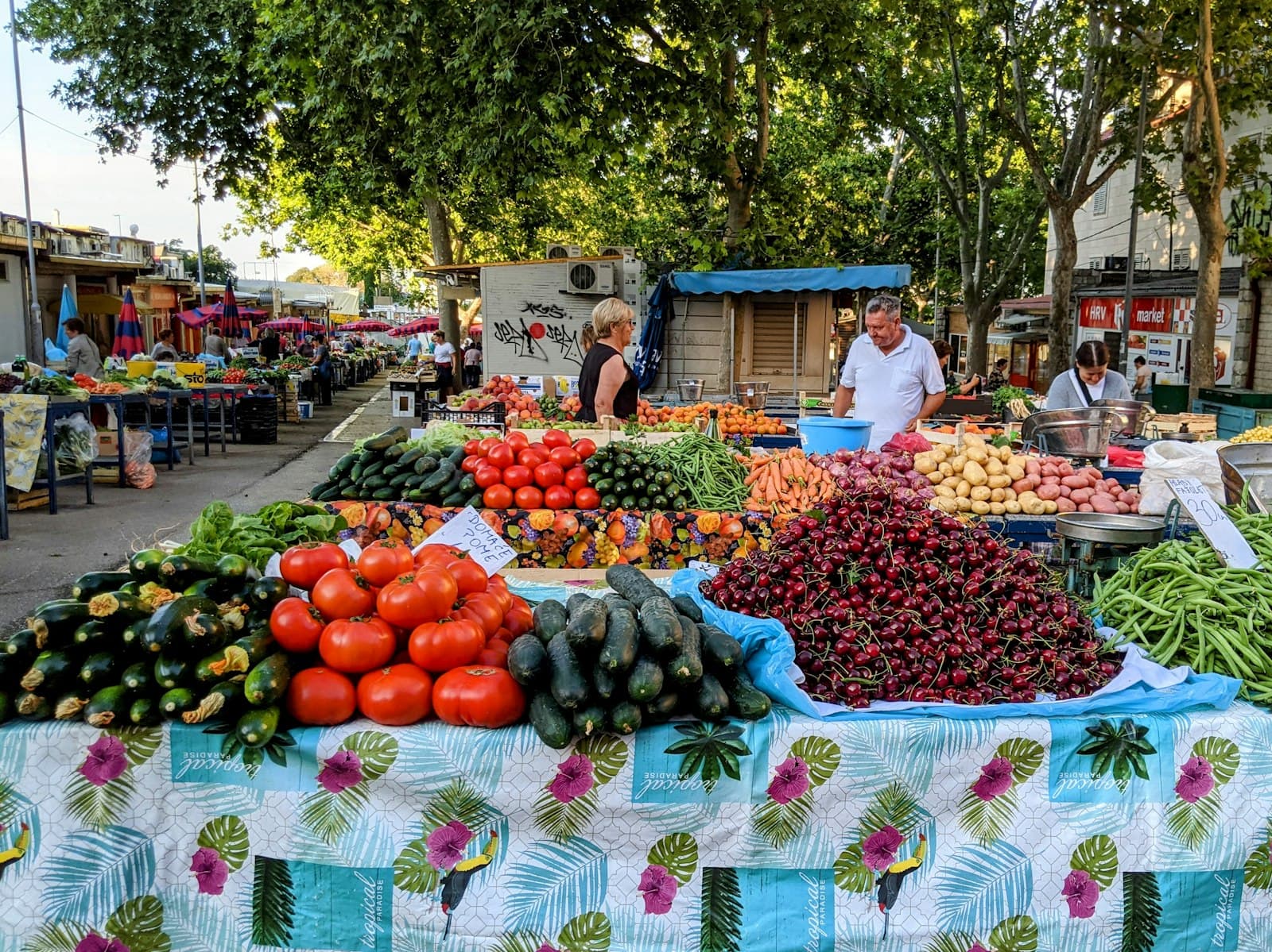Pazar Market and Bacvice: The Everyday City
