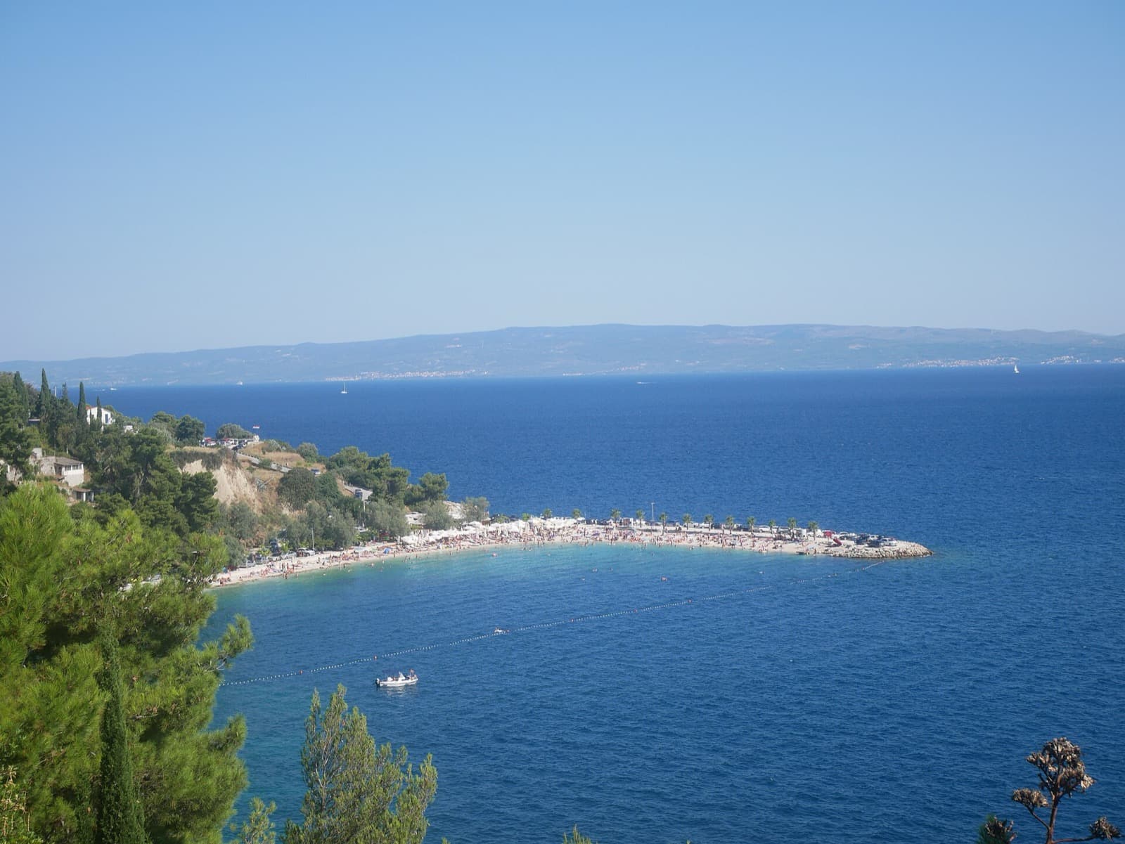 The Southern Shore: Where Forest Meets the Sea