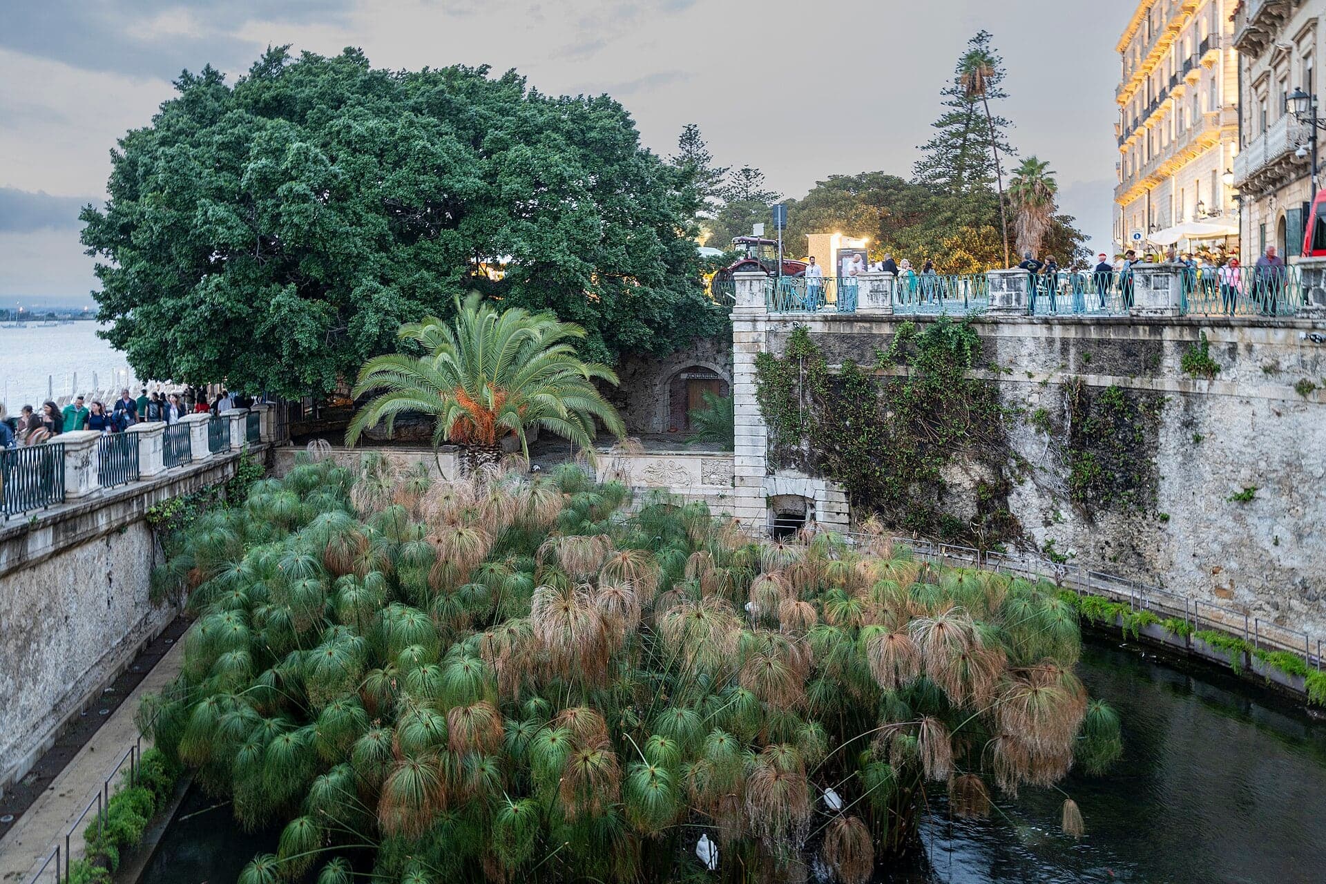 Fonte Aretusa: A Spring, a Myth and a Nelson Letter