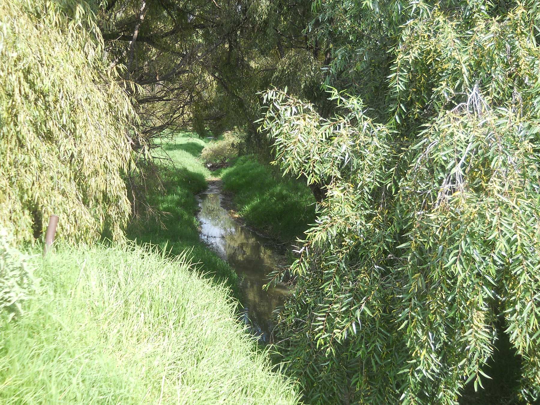 The Río San Juan Crossing