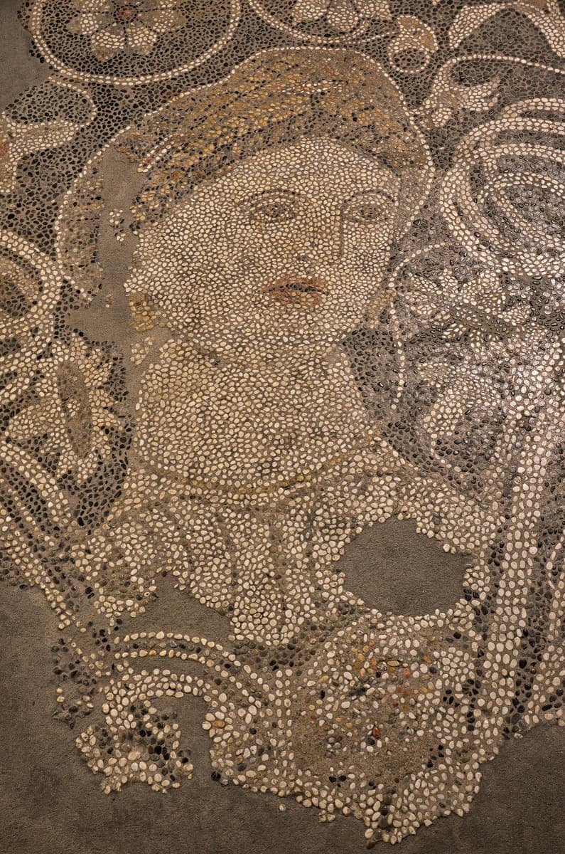 National History Museum Mosaic