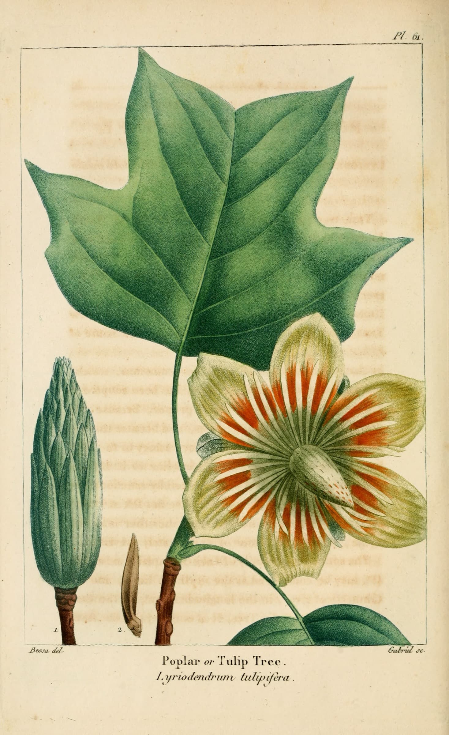The Landscape Garden: A Farm Laboratory