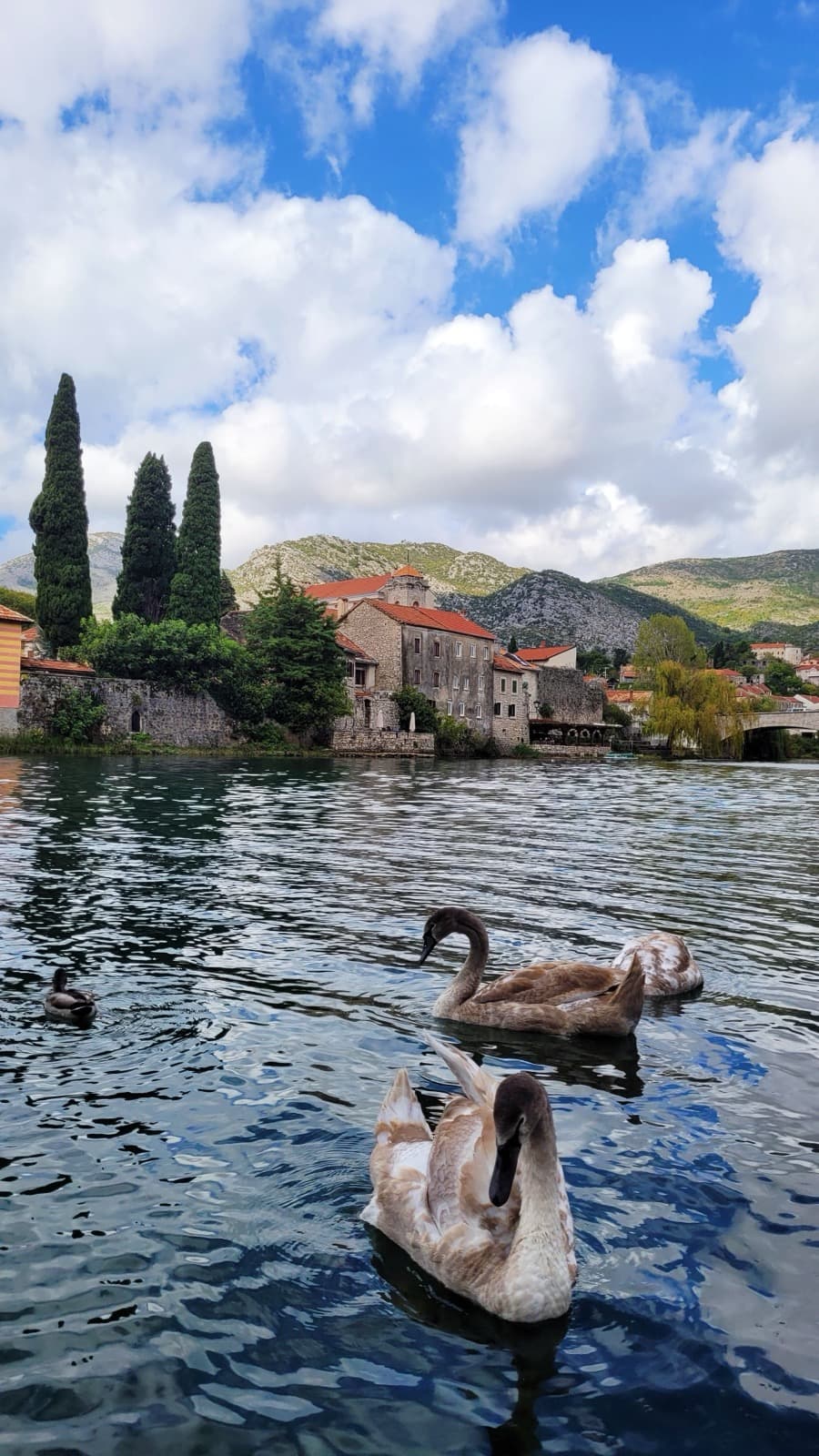 The Trebisnjica Embankment: The Sinking River