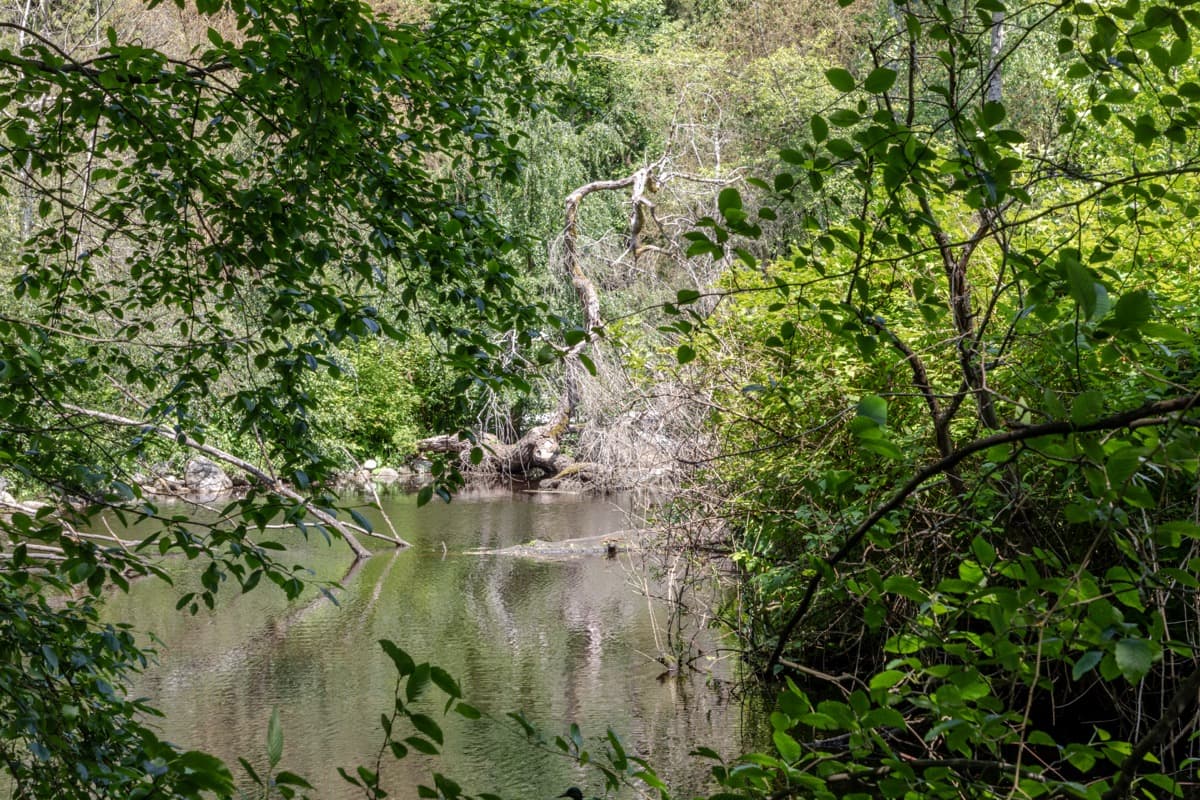 Lost Lagoon: The Severed Tidal Edge