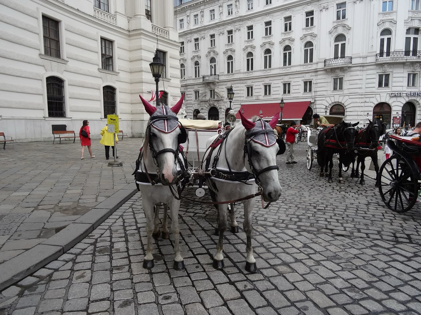 What to Eat in Vienna: Schnitzel, Sachertorte, and How to Order Like a Local