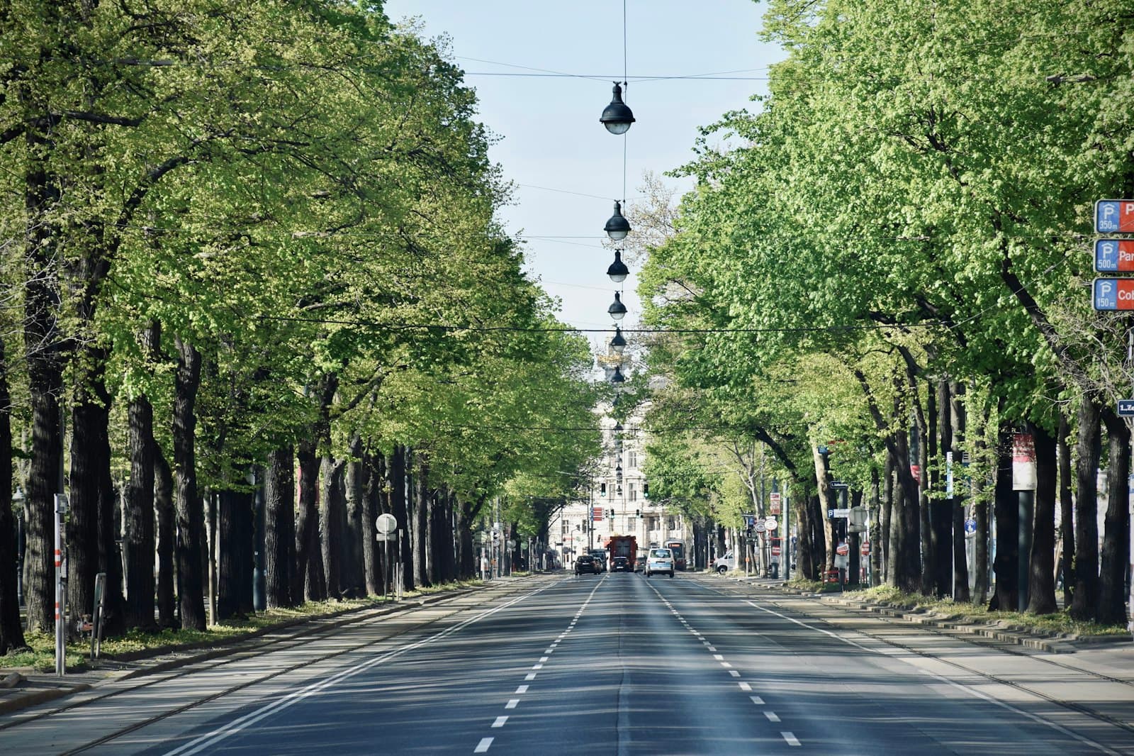 The Ringstrasse: The Grand Boulevard Built on the Walls